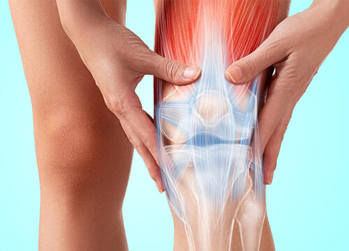 Orthopaedics