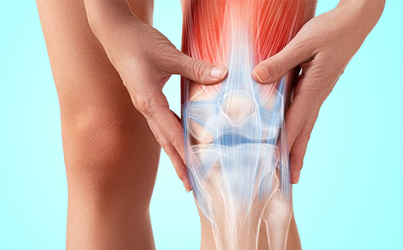 Orthopaedics